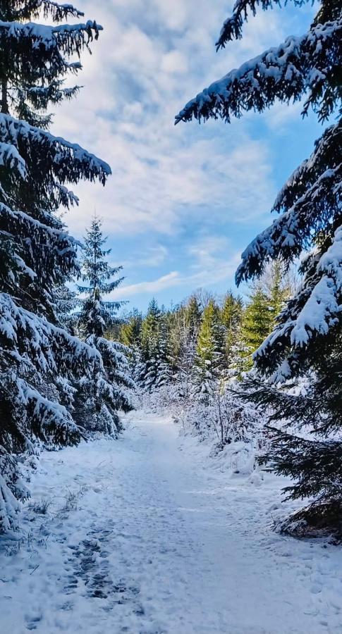 Apartman Lipno - Dve Zatoky Frymburk Buitenkant foto